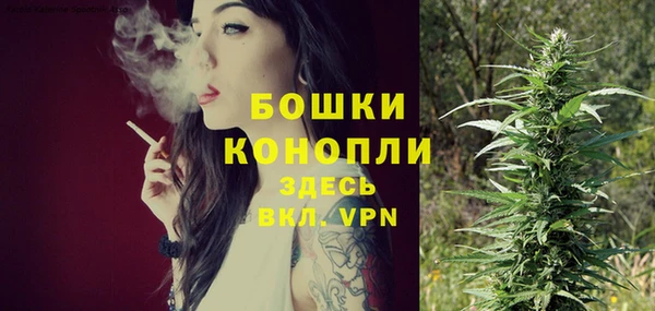дживик Горнозаводск
